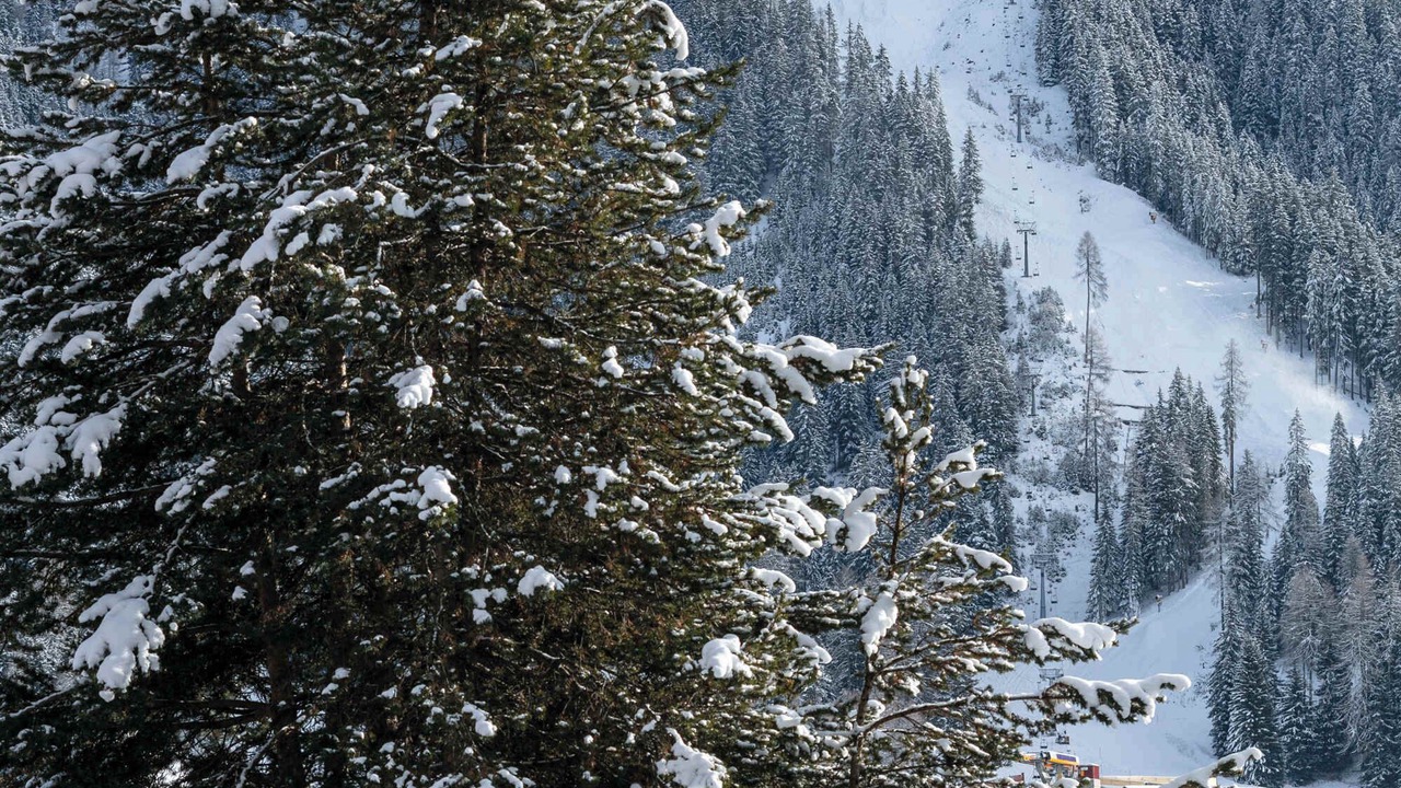 Photo of Others in Davos