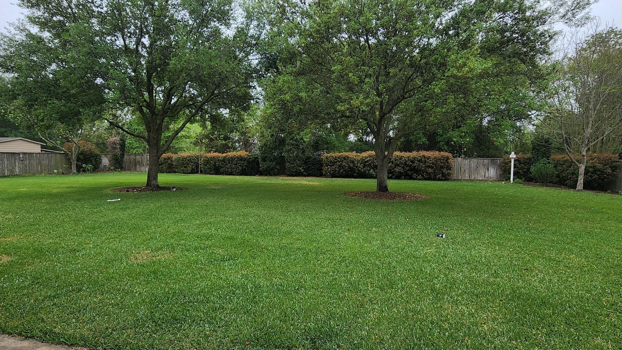 Photo of Outdoor in Cypress