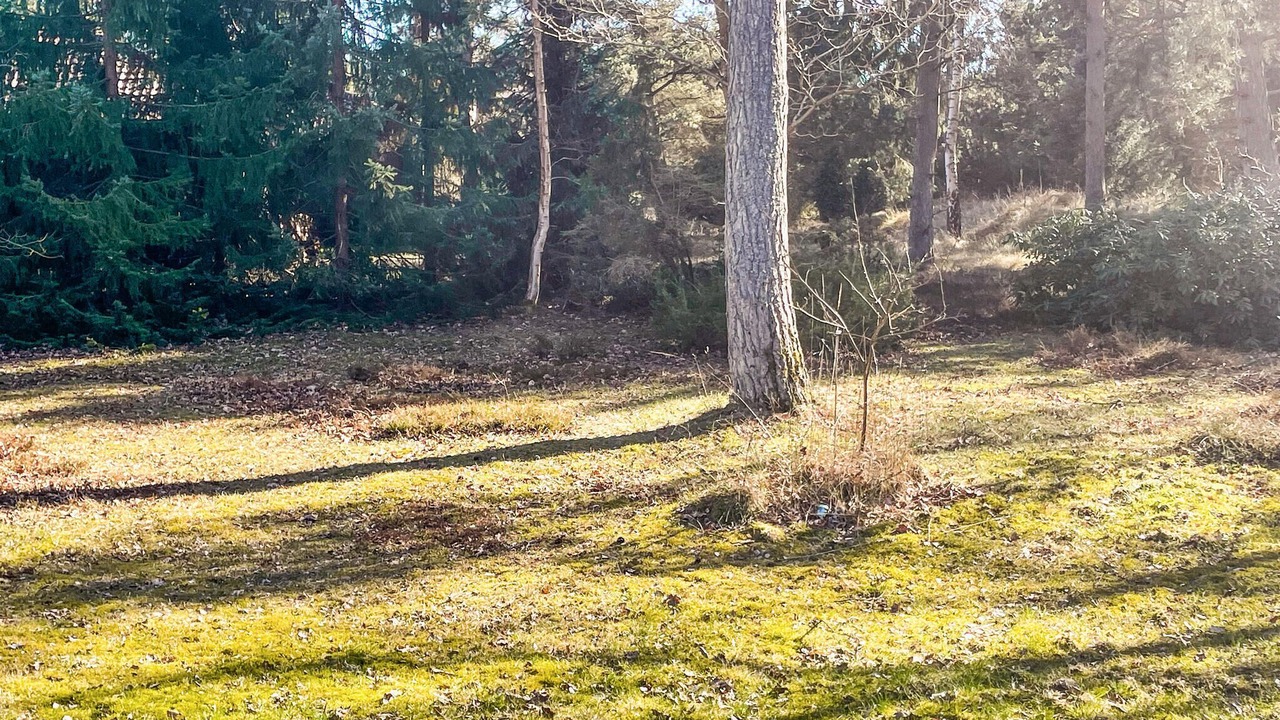 Photo of Others in Rrvig