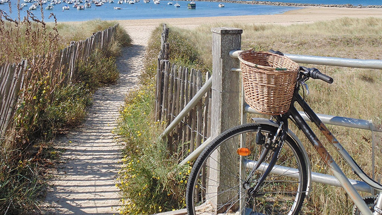 Photo of Others in Batz-sur-Mer