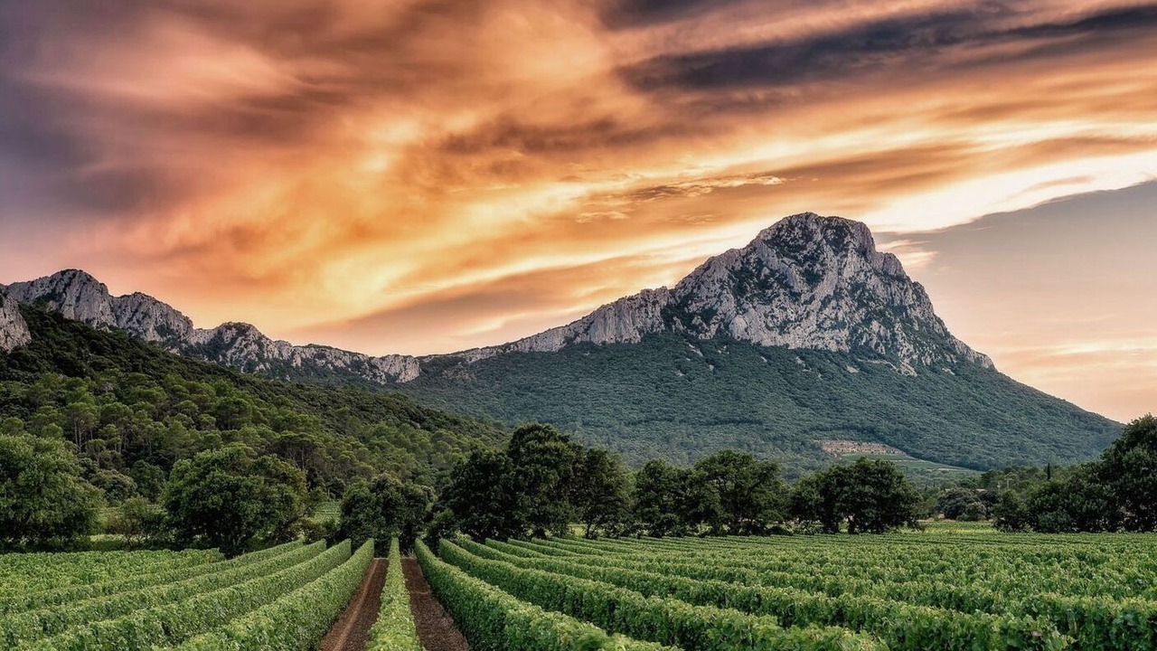 Photo of Others in Teyran