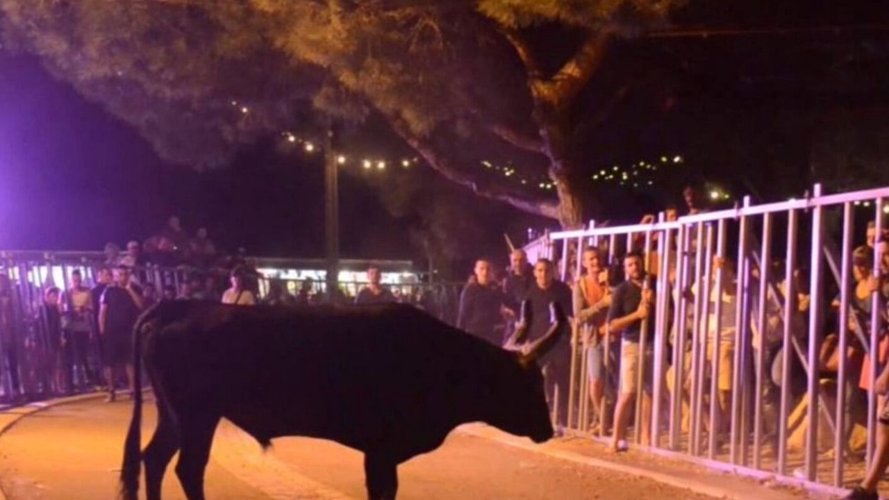 Photo of Others in Teyran