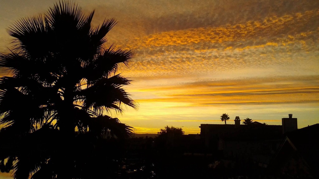 Photo of Others in Discovery Bay