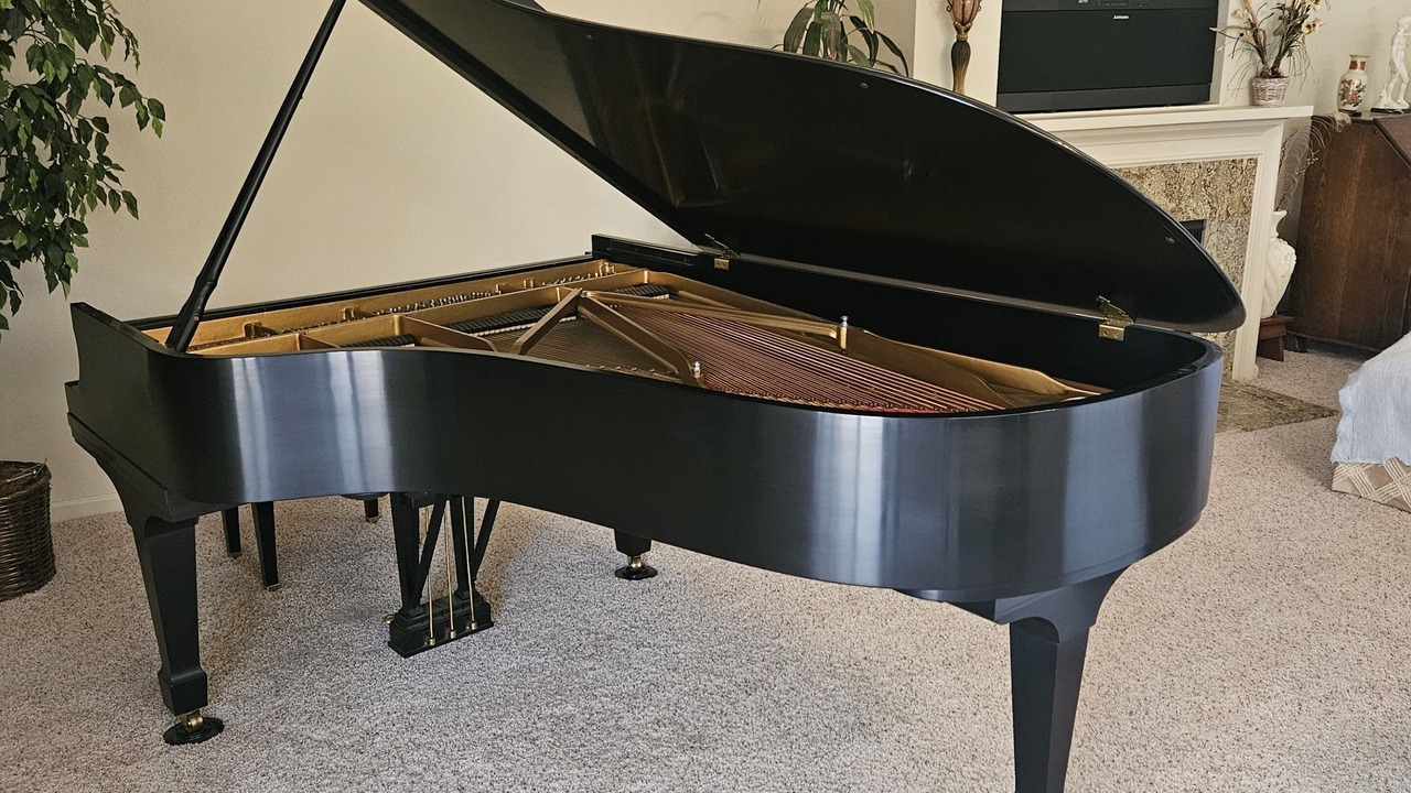 Photo of Others in Discovery Bay