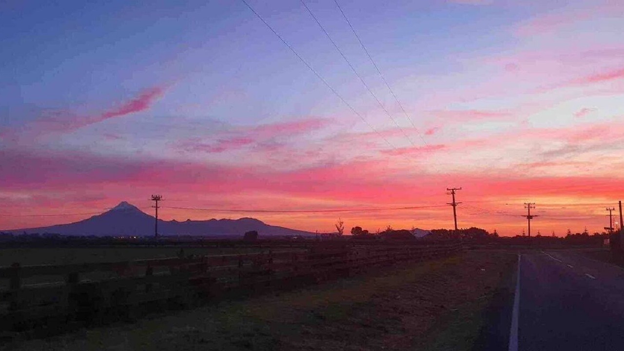 Photo of Others in Waitara