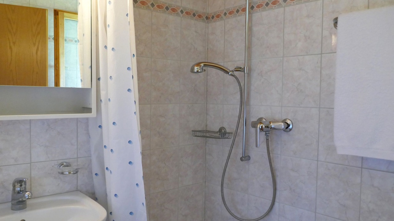 Photo of Bathroom in Blenio