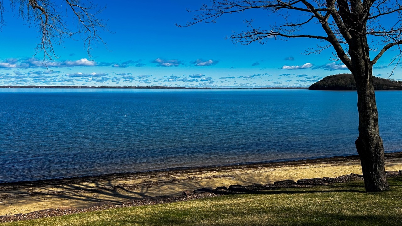Photo of Others in Malletts Bay