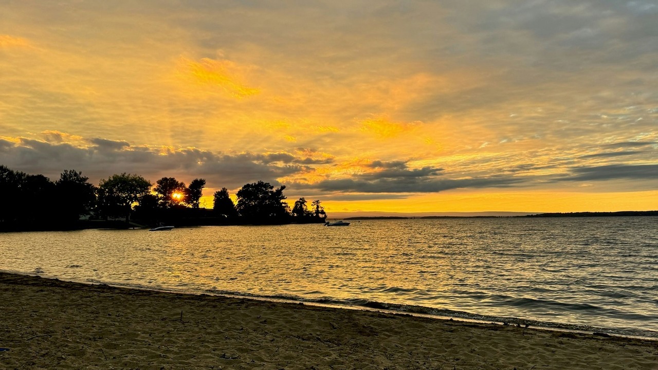 Photo of Others in Malletts Bay