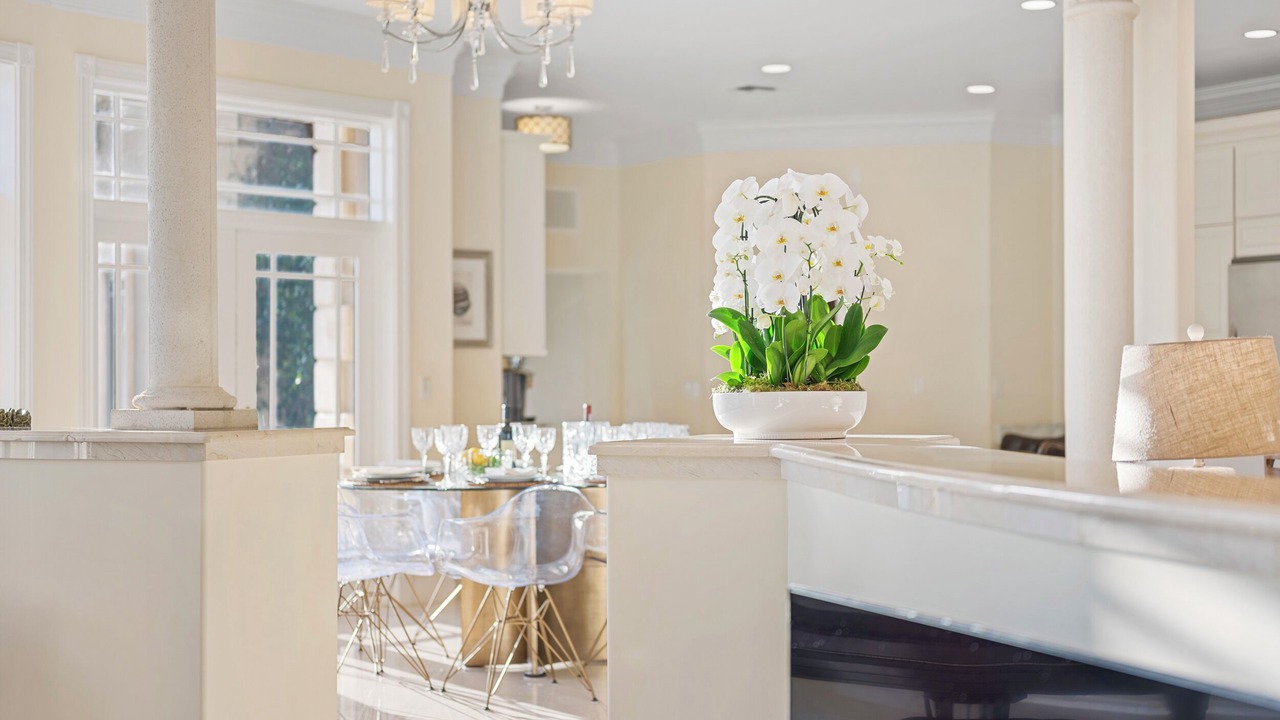 Photo of Others in West Palm Beach