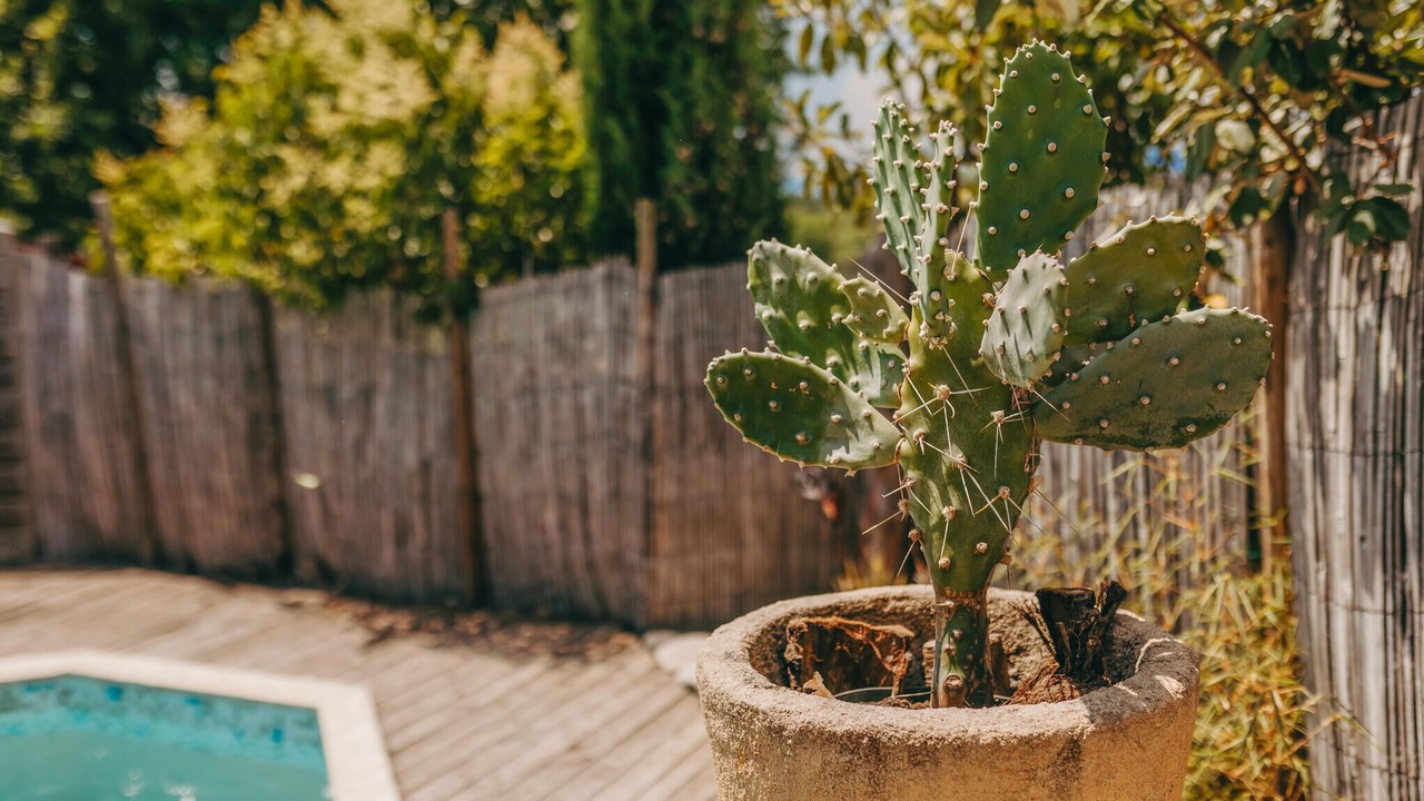 Photo of Others in Saint-Germain