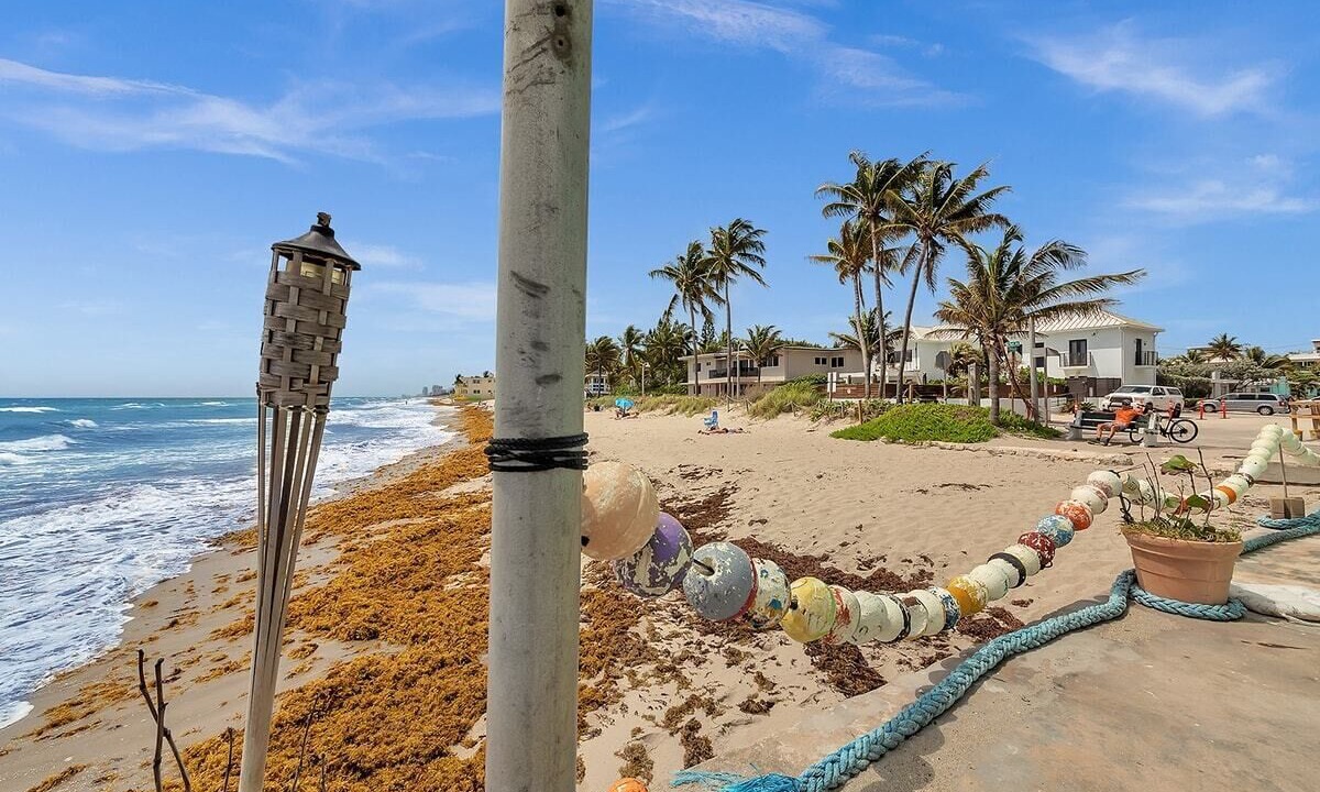 Photo of Others in North Beach