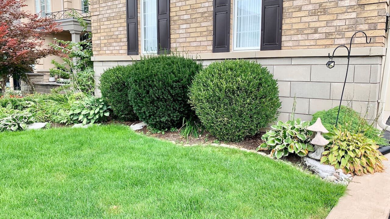 Photo of Outdoor in Brampton