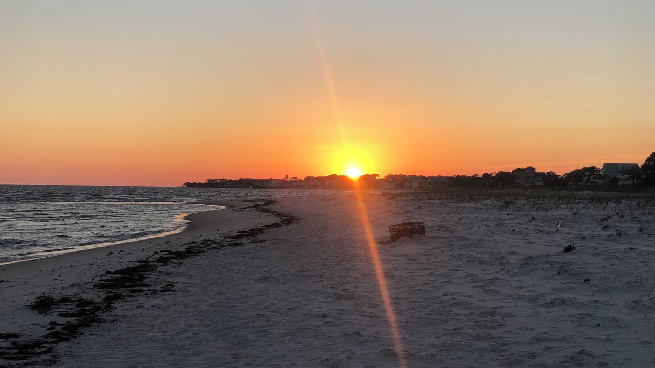 Photo of Others in Alligator Point