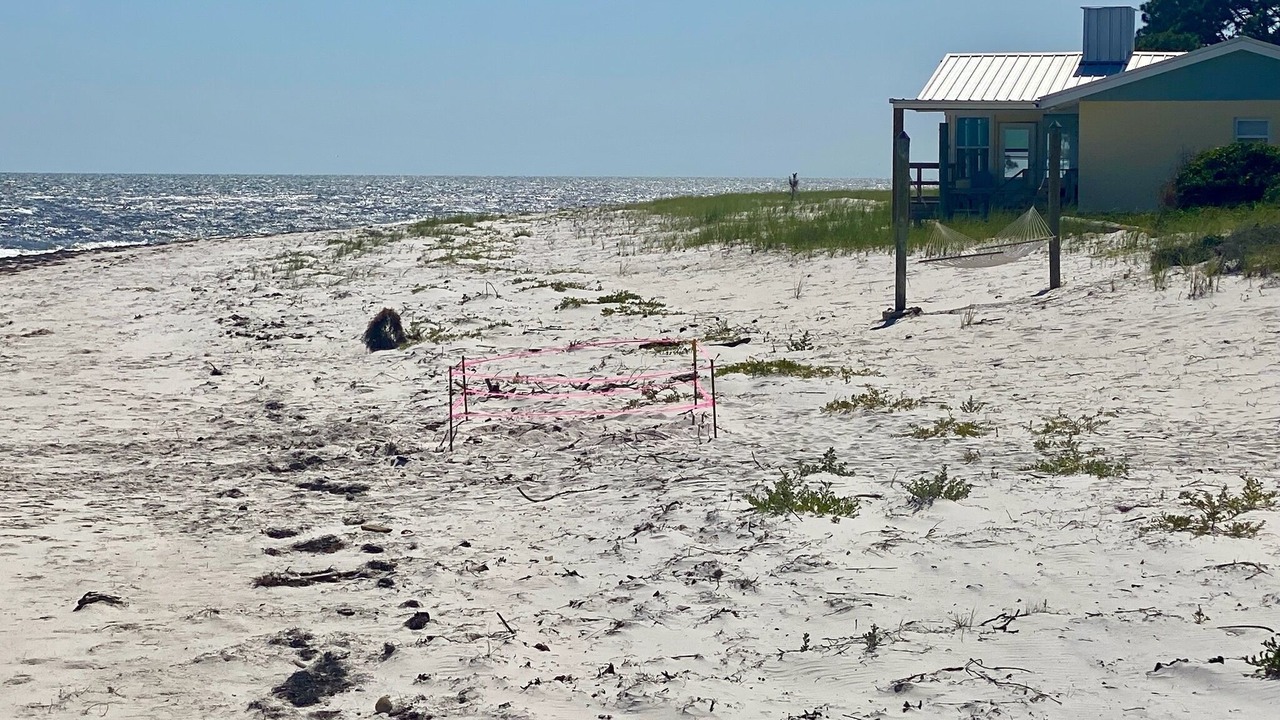 Photo of Others in Alligator Point