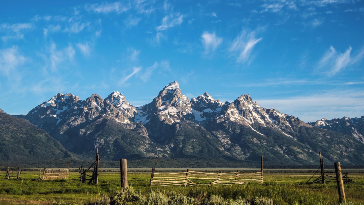 Photo of Others in Wilson