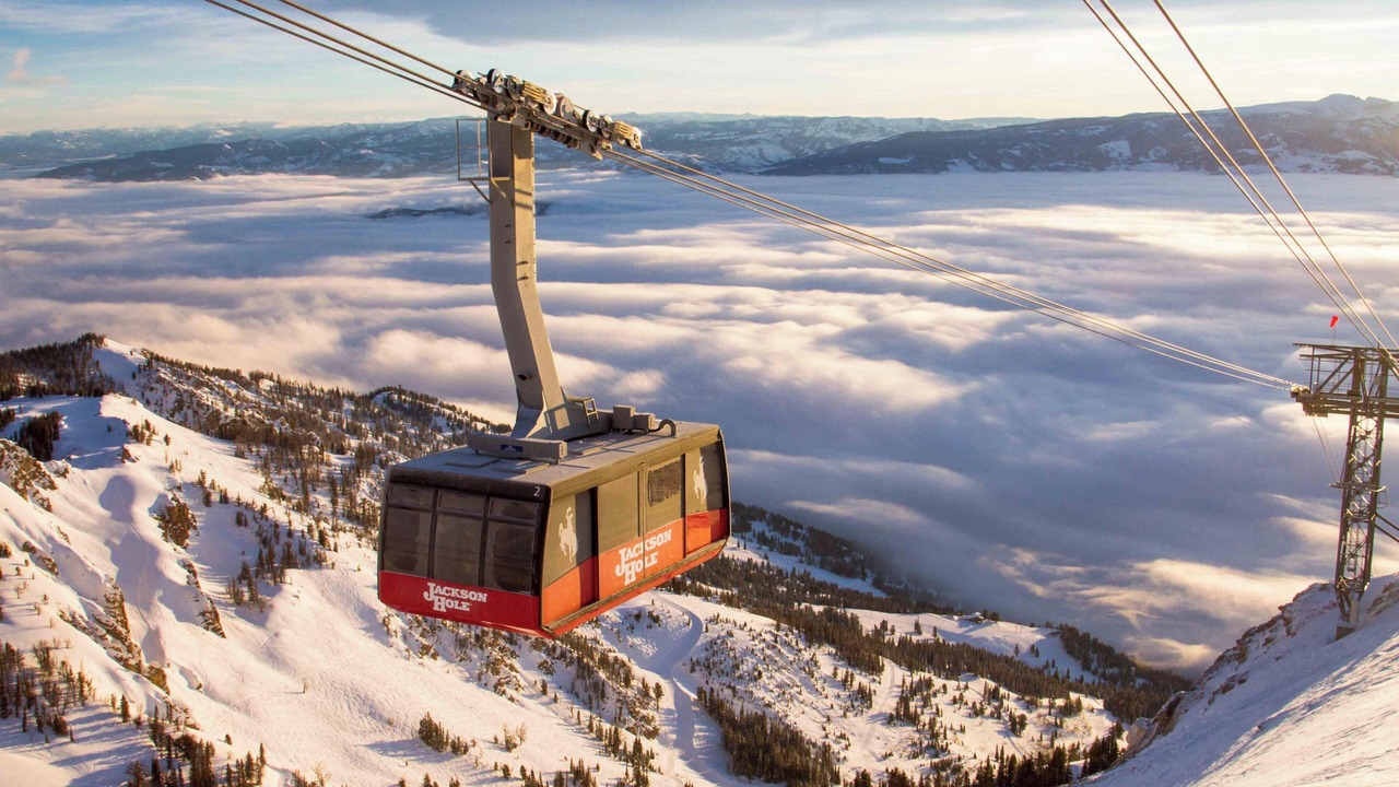 Photo of Others in Wilson