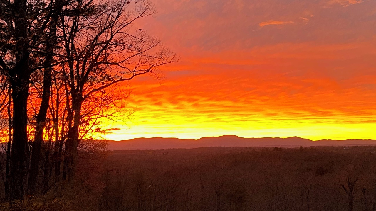 Photo of Others in Ghent
