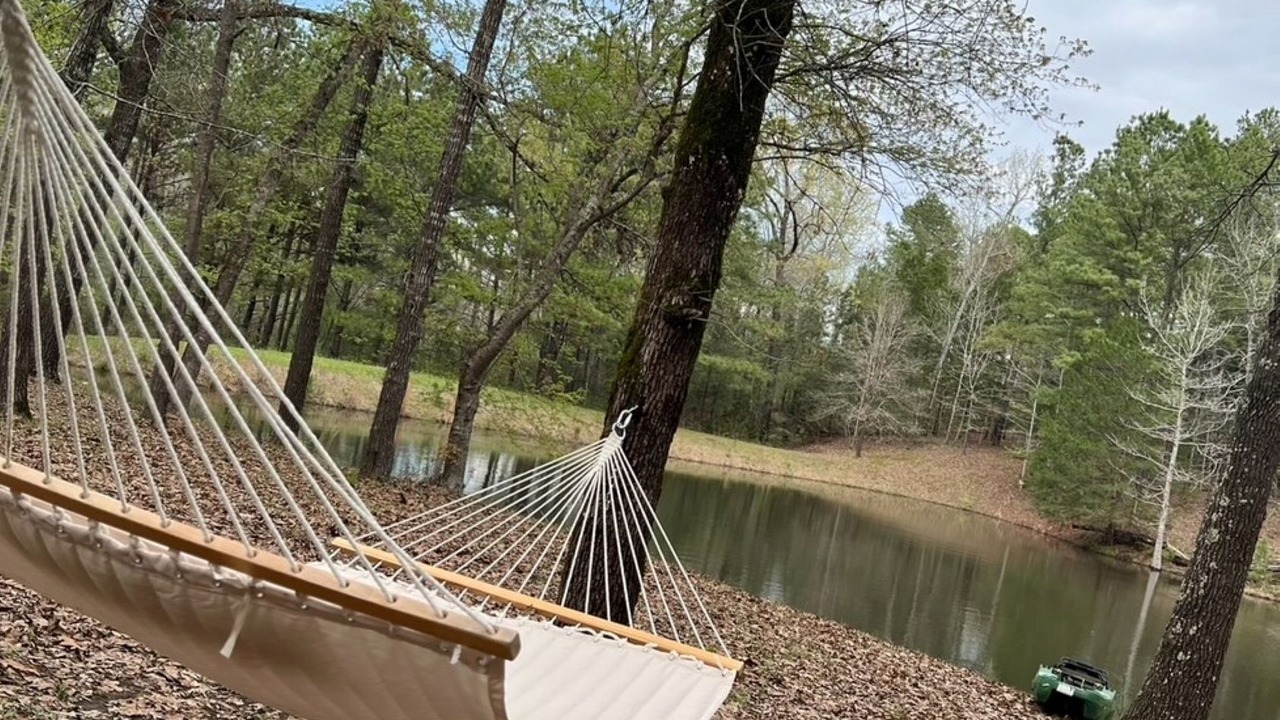 Photo of Outdoor in Avinger