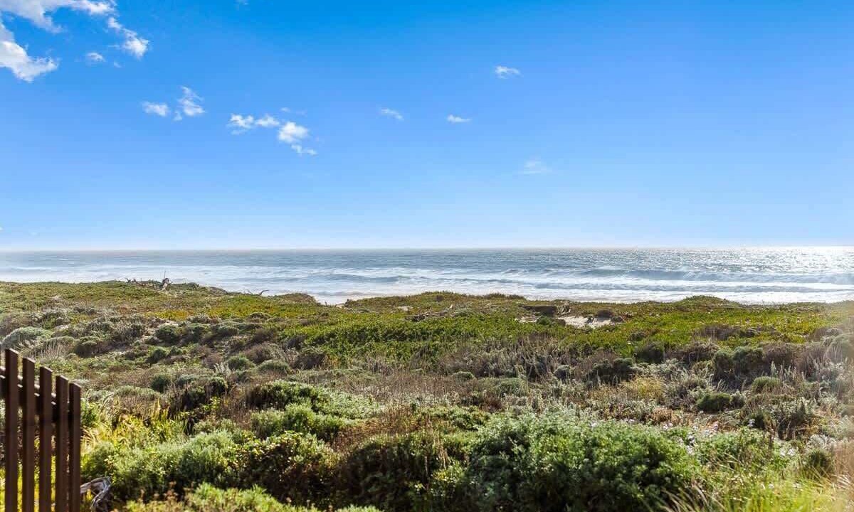 Photo of Others in Castroville