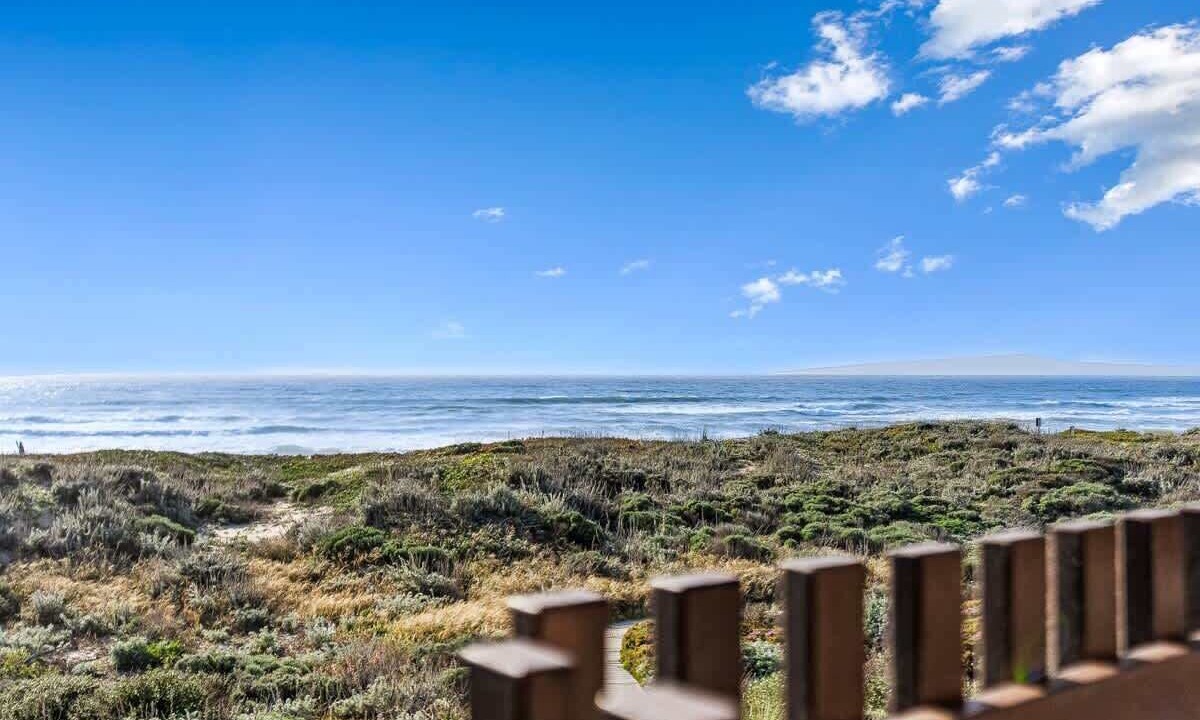 Photo of Others in Castroville