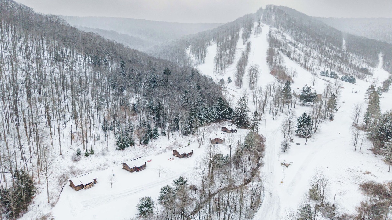 Photo of Others in Mills