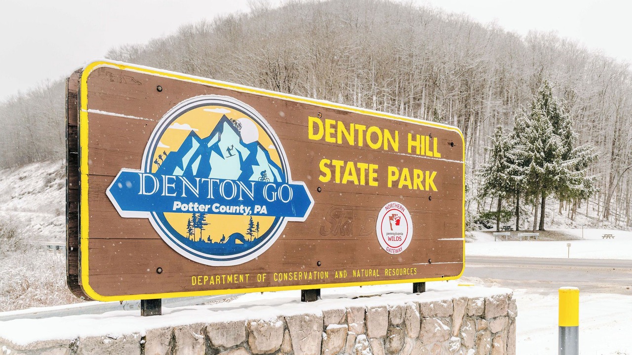 Photo of Outdoor in Mills