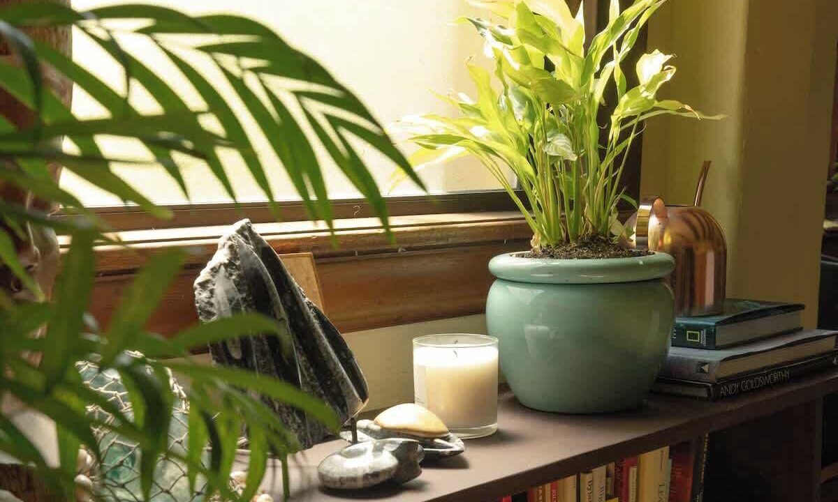 Photo of Others in Upper Telegraph