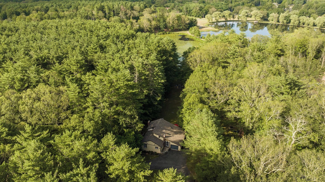 Photo of Outdoor in Purling