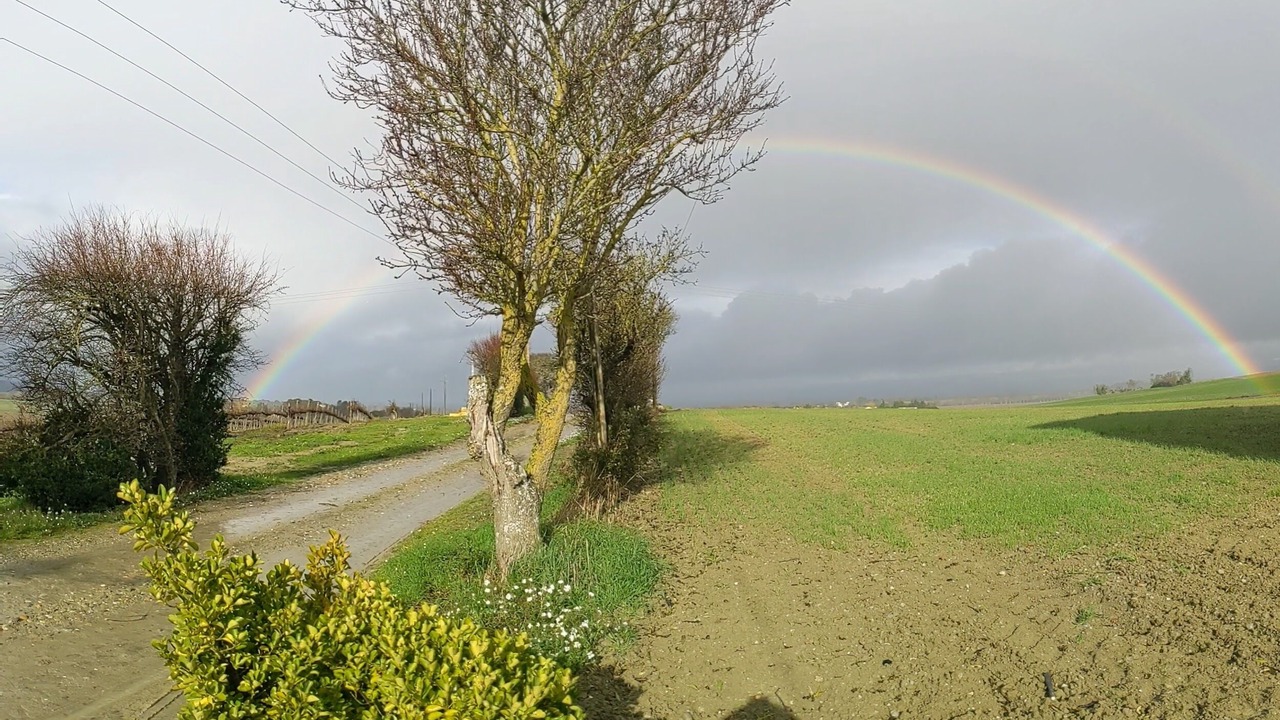 Photo of Others in Montreal