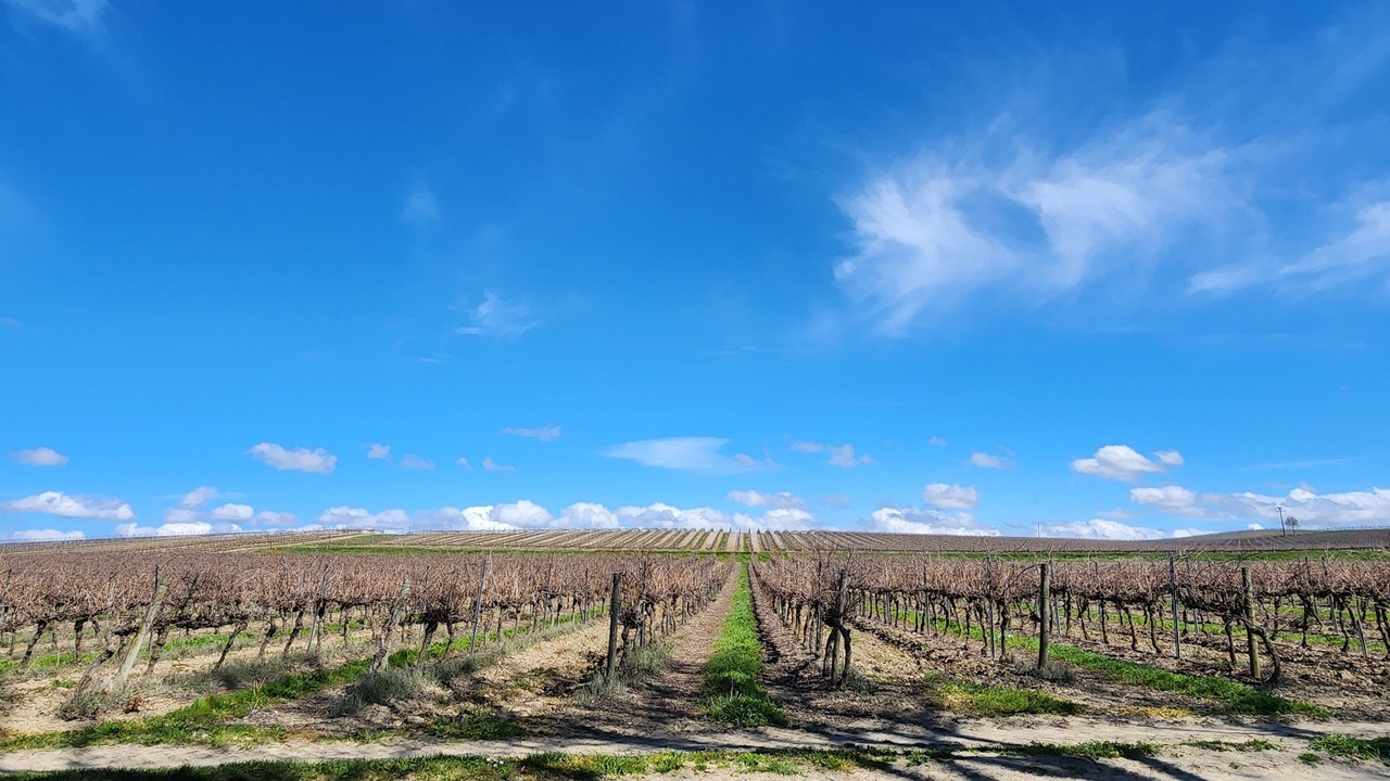 Photo of Others in Montreal