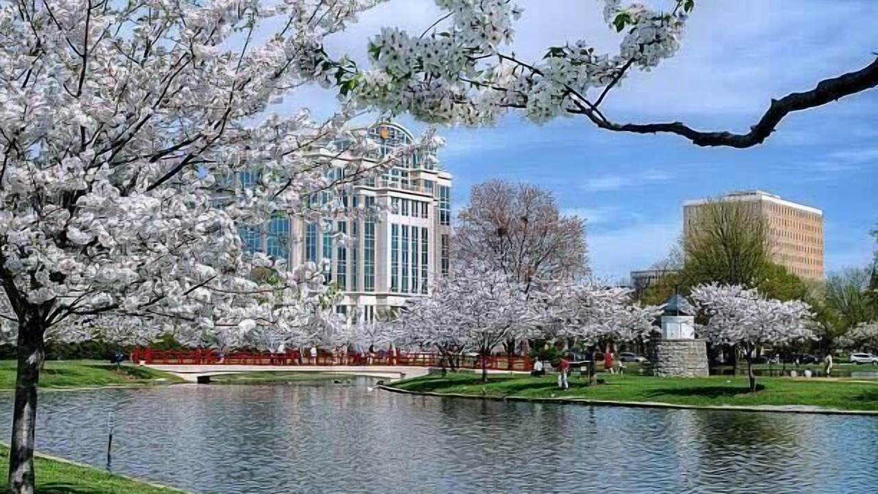 Photo of Others in Huntsville