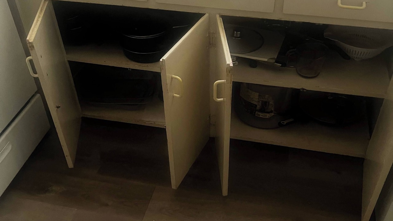 Photo of Others in Evergreen