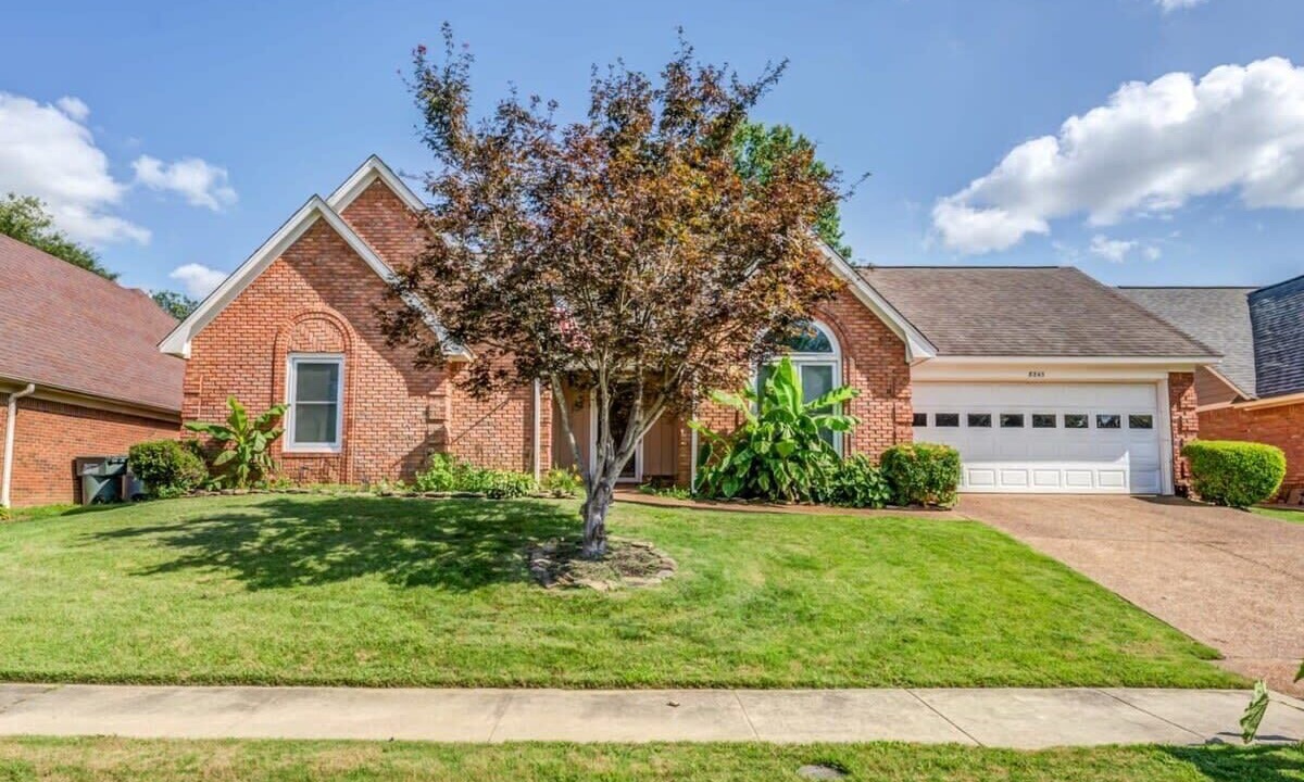 Photo of Outdoor in Cordova