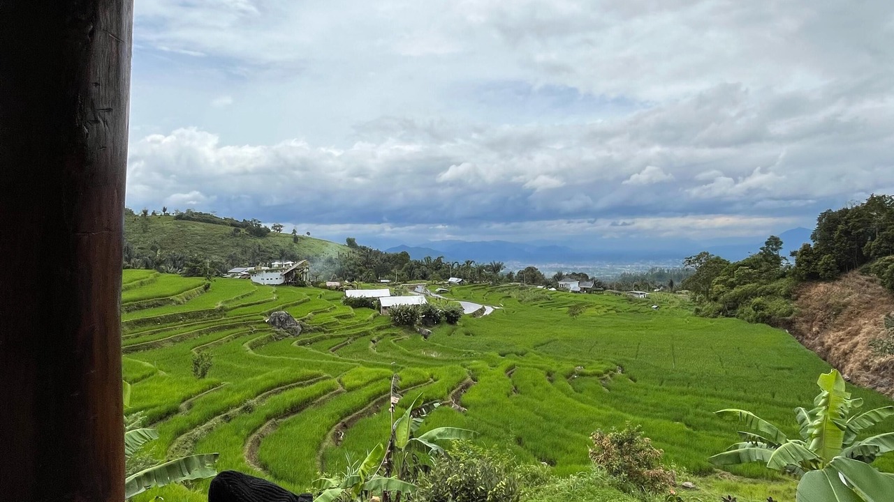 Photo of Outdoor in Sumatra