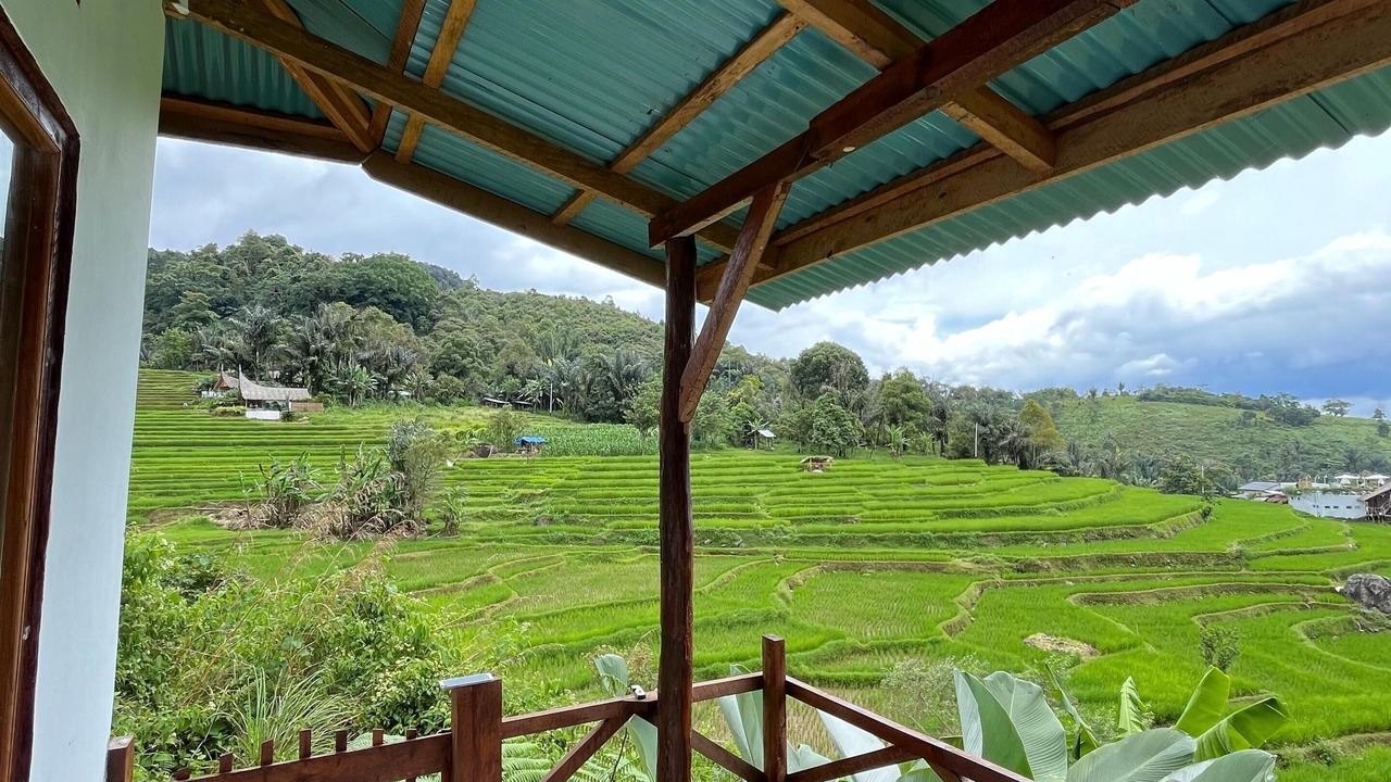 Photo of Outdoor in Sumatra