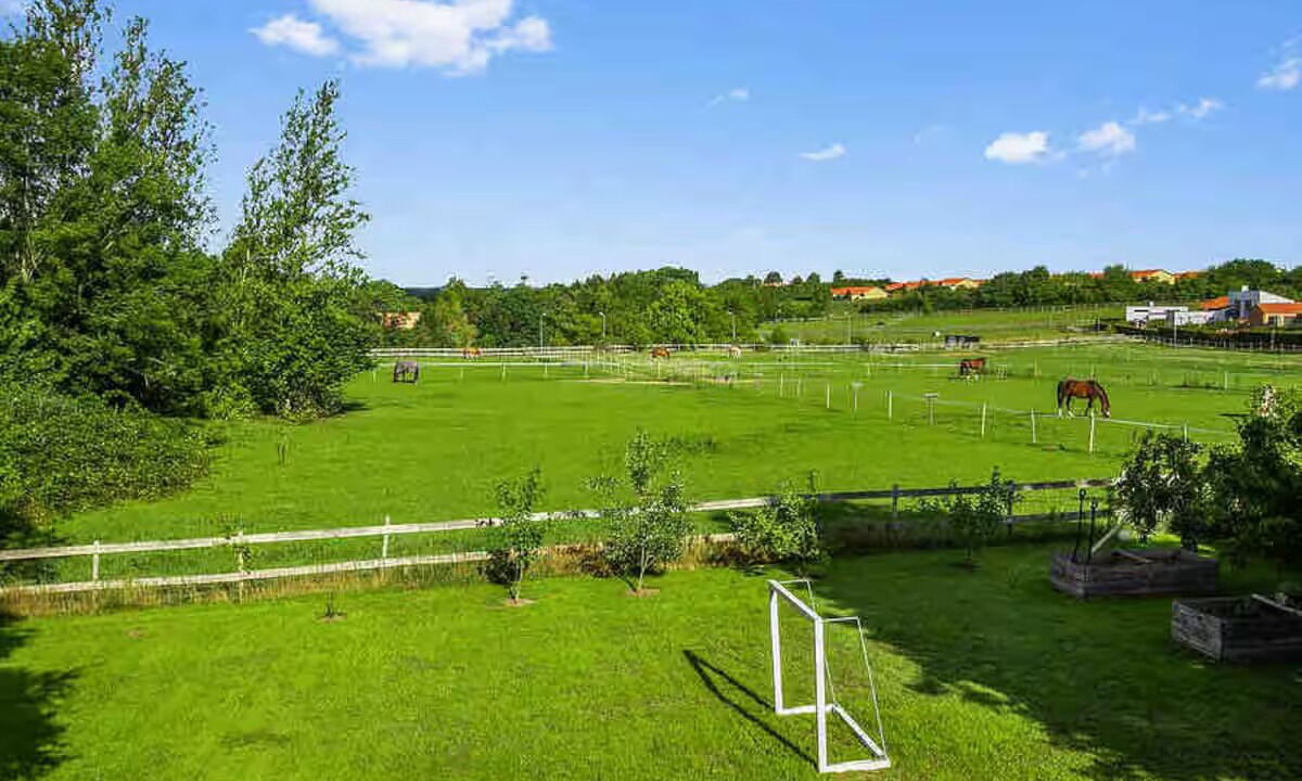 Photo of Others in Horsens