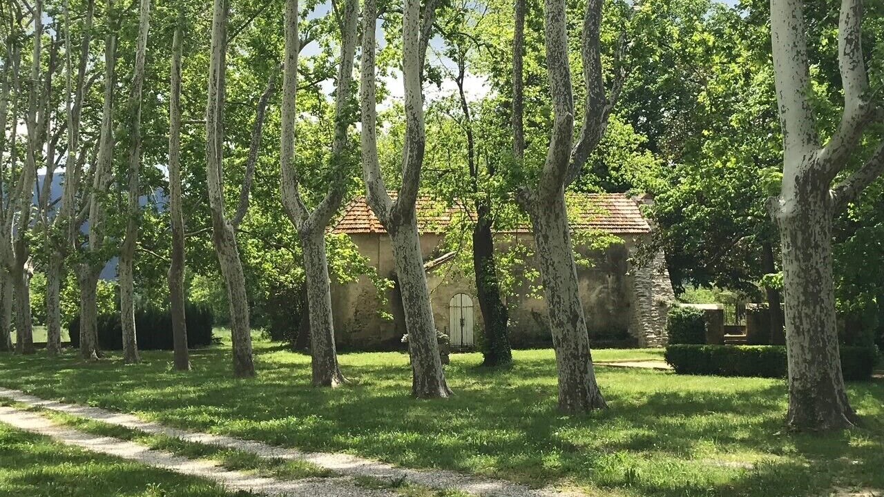 Photo of Outdoor in Laroque-des-Alberes