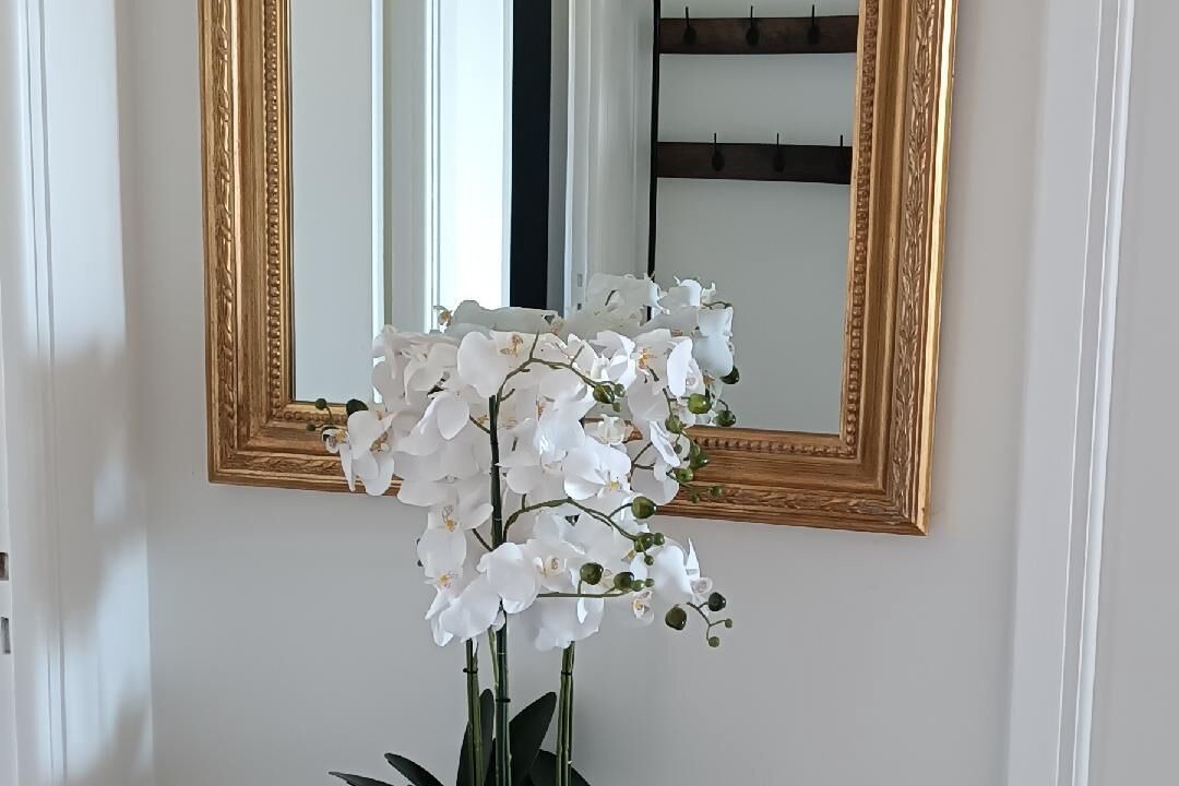 Photo of Others in Gambetta