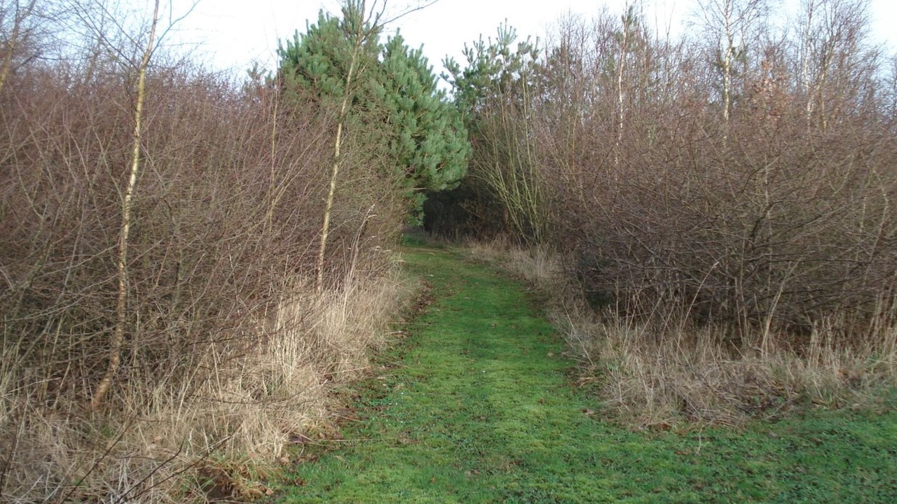 Photo of Outdoor in Tarm