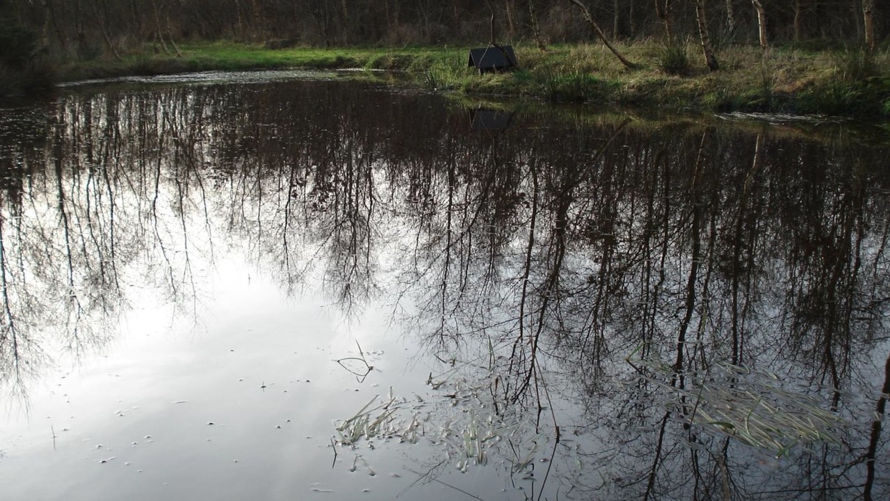 Photo of Outdoor in Tarm