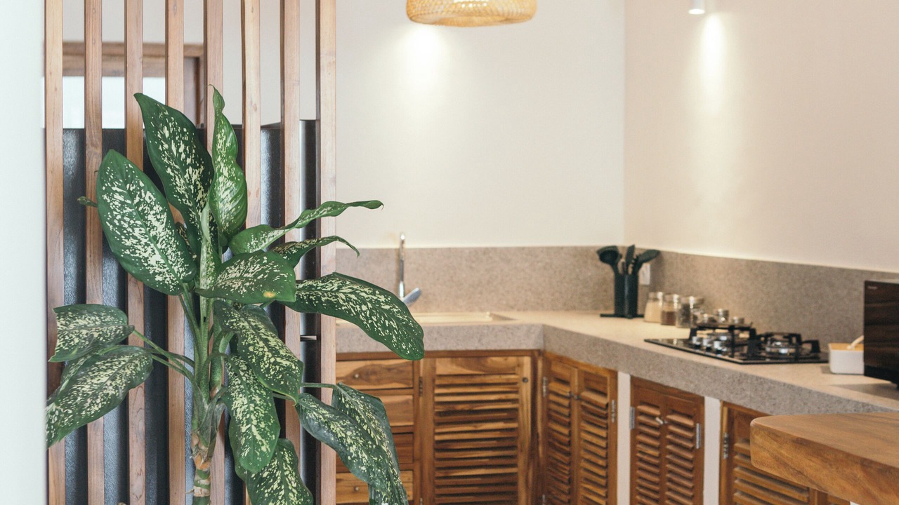 Photo of Kitchen in Padonan