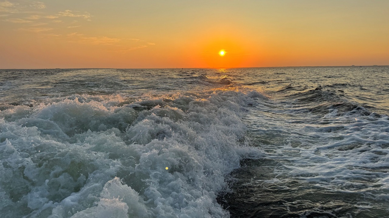 Photo of Others in Elizabeth Mcbrides Raulersons