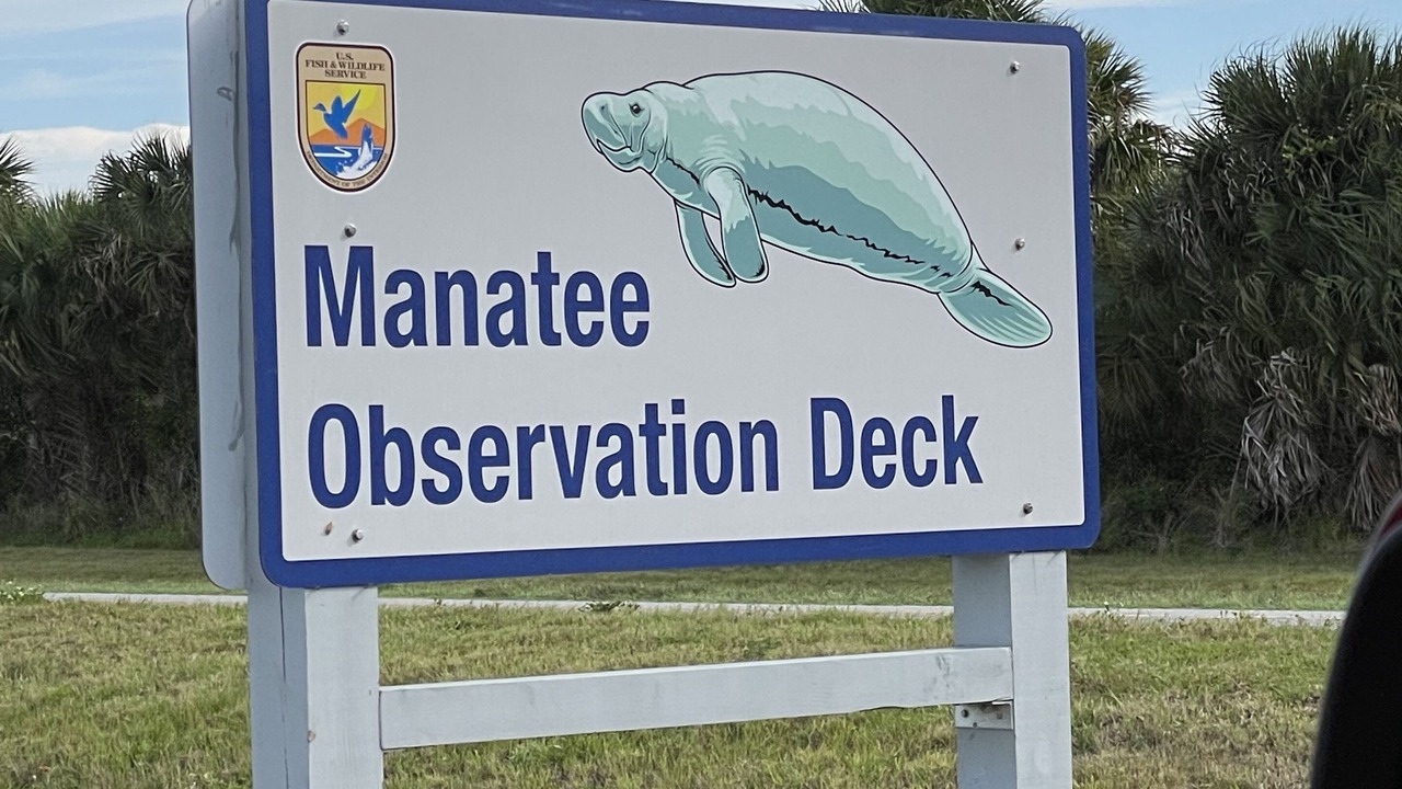 Photo of Others in Elizabeth Mcbrides Raulersons