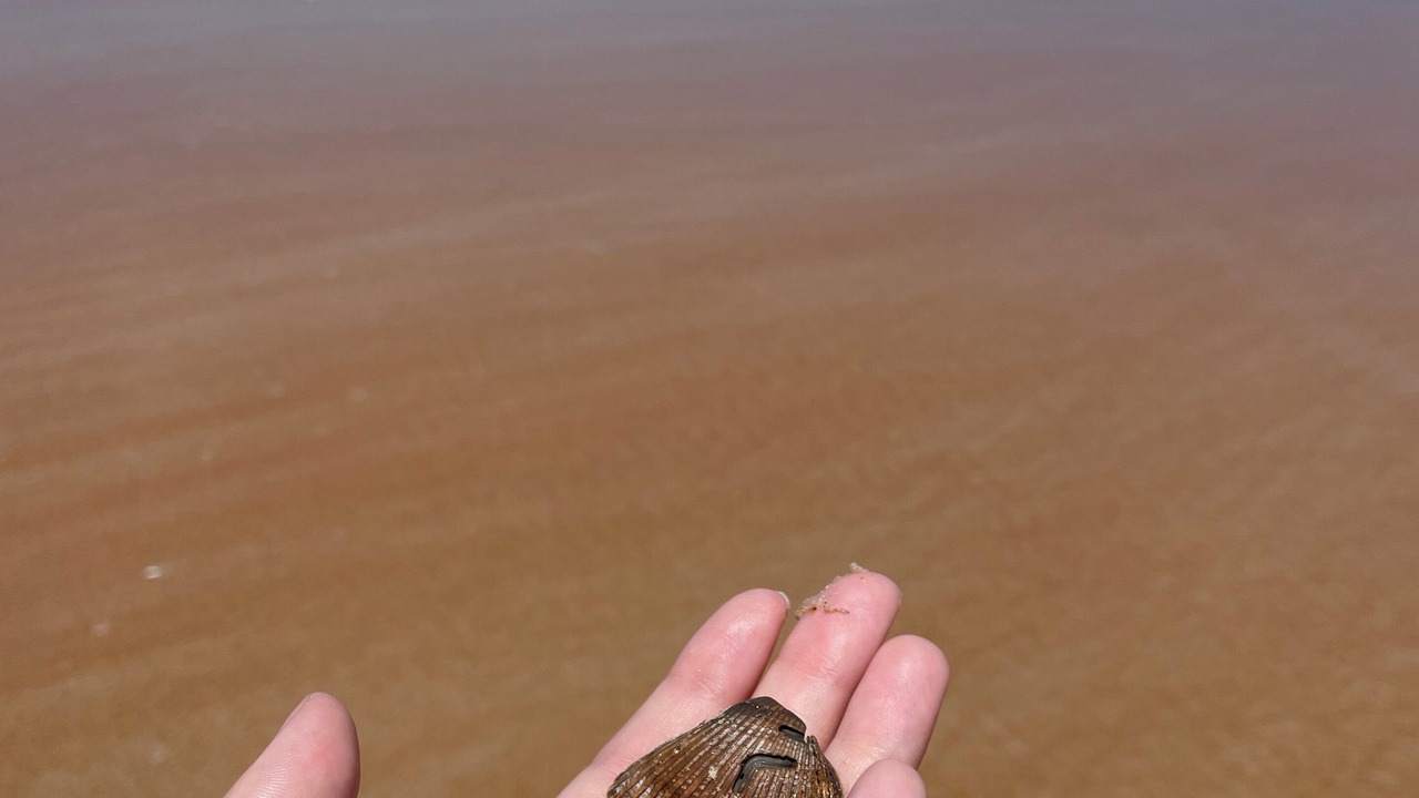 Photo of Others in Elizabeth Mcbrides Raulersons