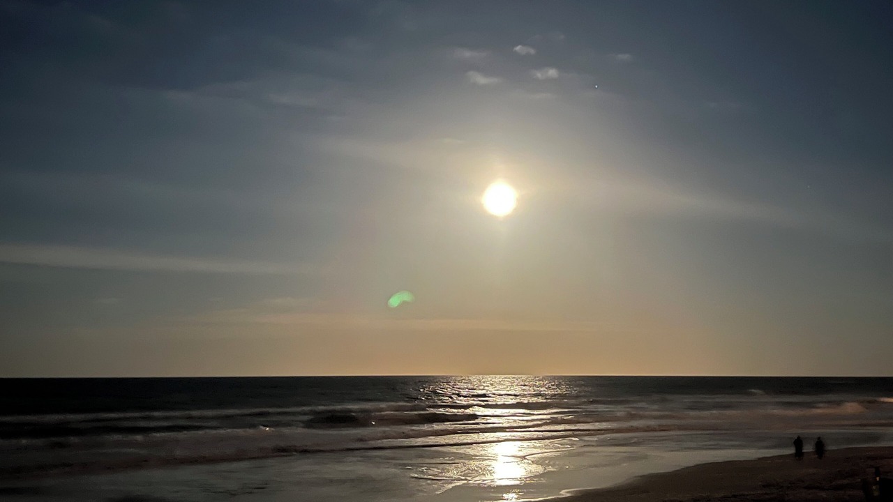 Photo of Others in Elizabeth Mcbrides Raulersons