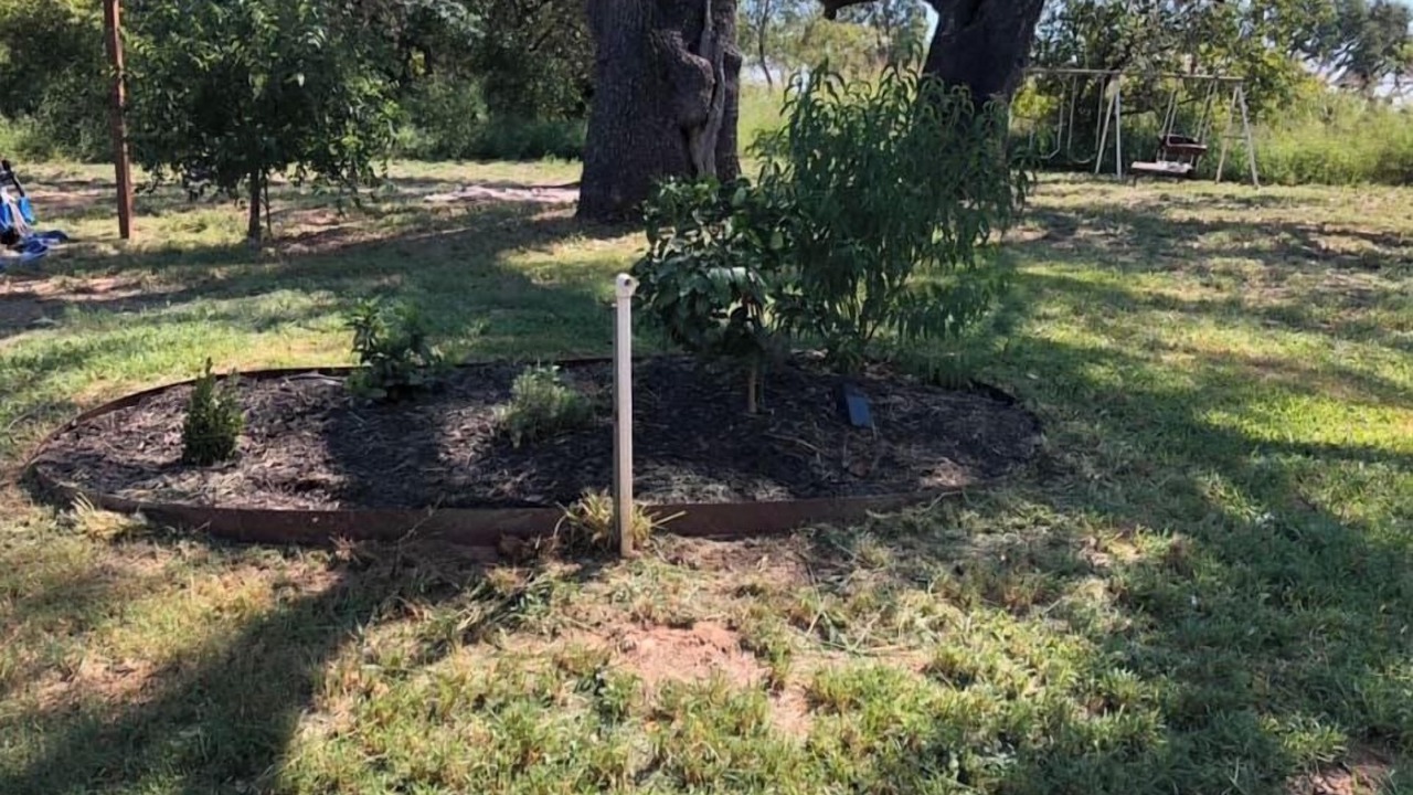 Photo of Outdoor in Adkins