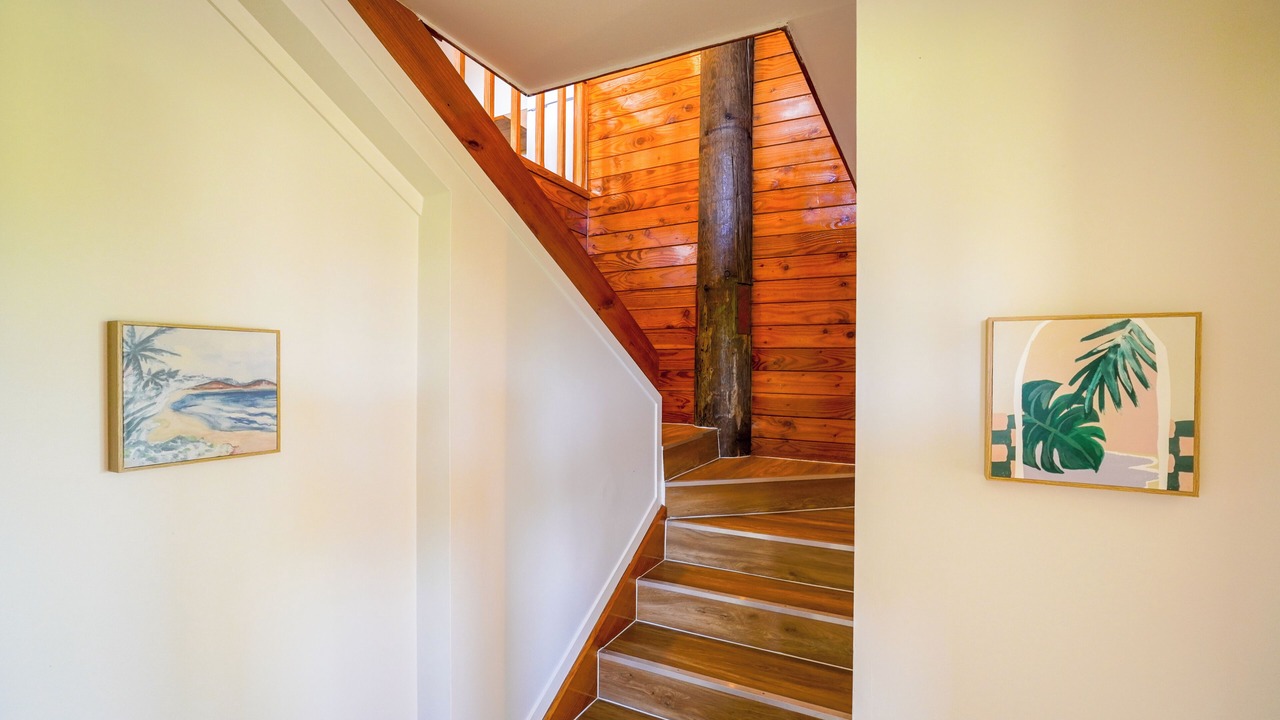 Photo of Others in Whangarei