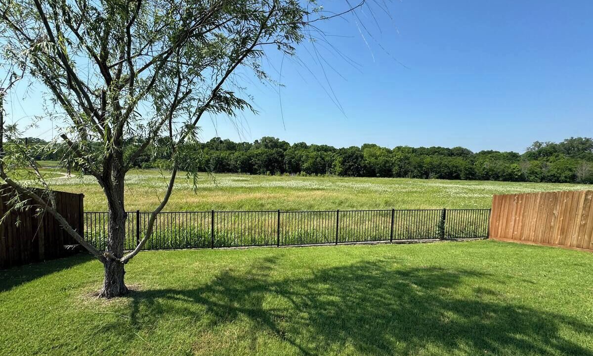 Photo of Outdoor in McKinney