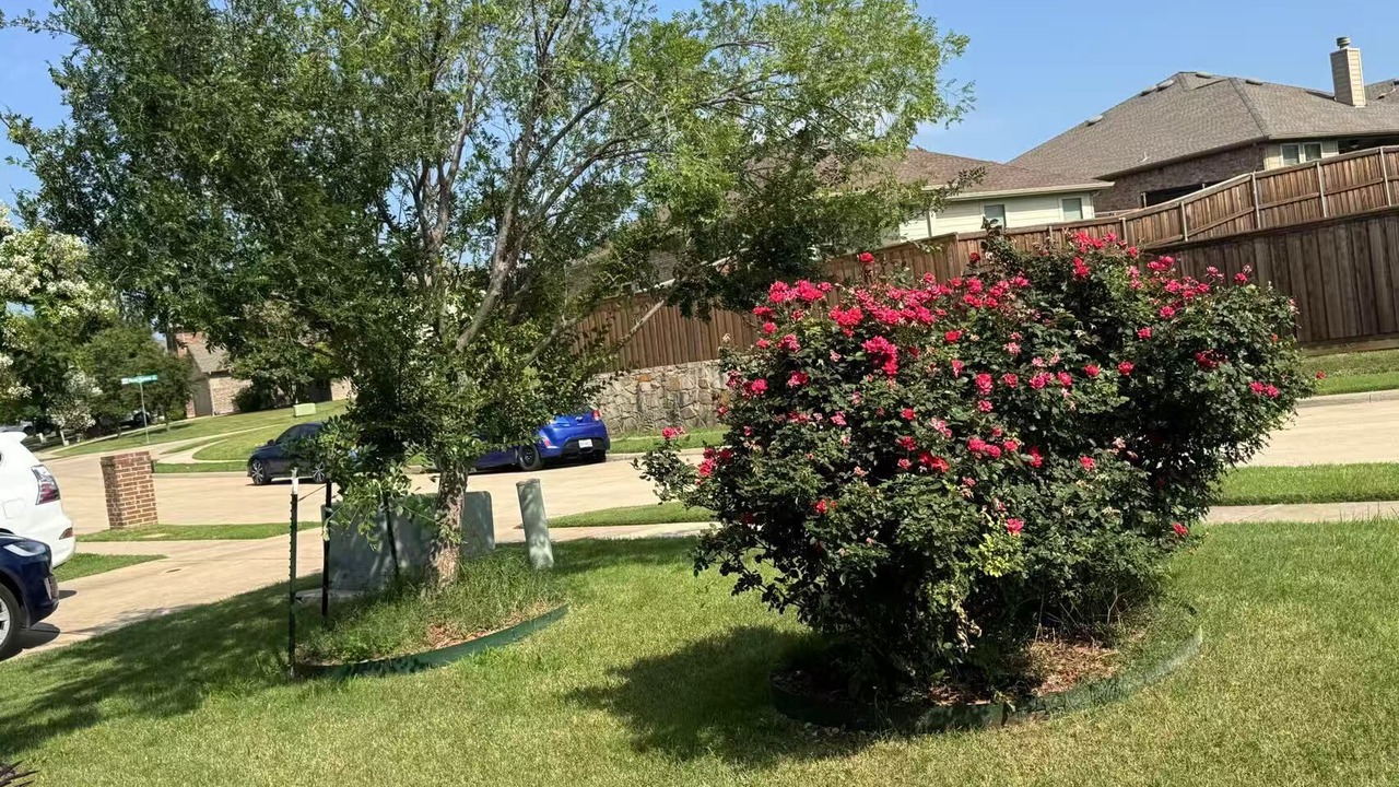 Photo of Outdoor in McKinney