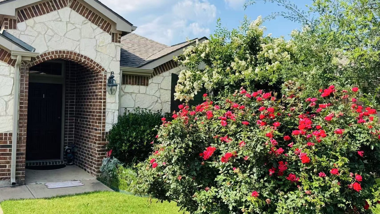 Photo of Outdoor in McKinney